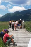 Galerie photo Le sentier sur pilotis